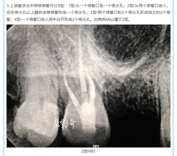 “冰墩墩之父”曹雪教授走進(jìn)設(shè)計城 分享設(shè)計思維賦能產(chǎn)業(yè)升級秘籍